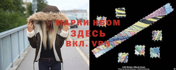 хмурый Алексин