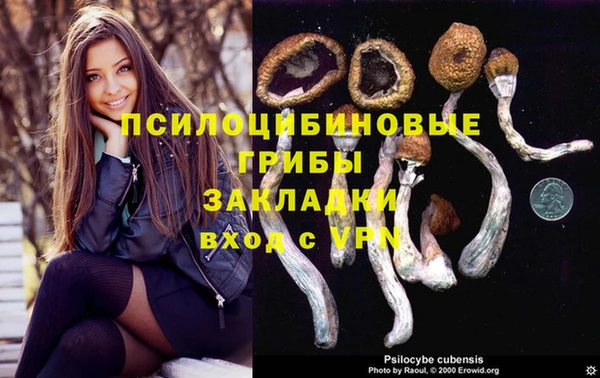 COCAINE Алексеевка
