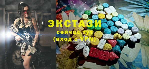 хмурый Алексин