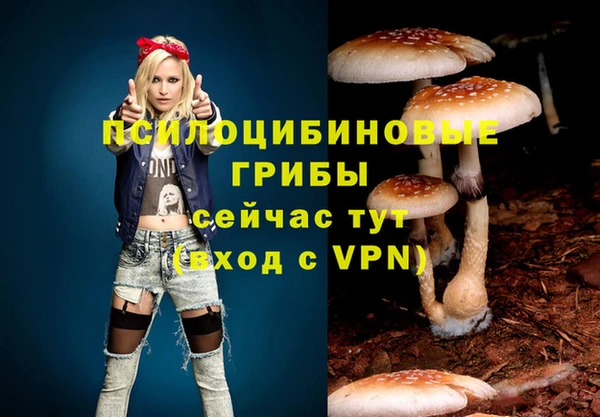 кокаин перу Алзамай